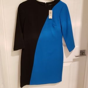 Ann Taylor 3/4 sleeve shift dress